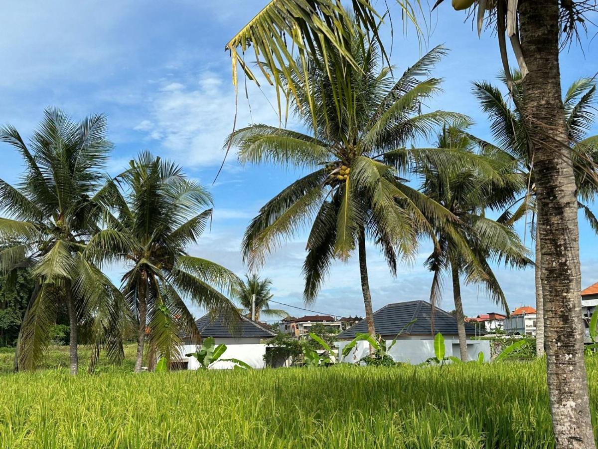 Anara Ubud Exteriör bild